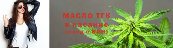ПСИЛОЦИБИНОВЫЕ ГРИБЫ Арсеньев
