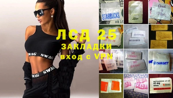 ПСИЛОЦИБИНОВЫЕ ГРИБЫ Арсеньев