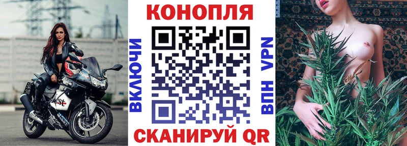 Бошки Шишки SATIVA & INDICA  Фролово 